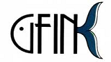 GFIN
