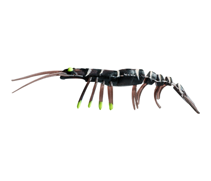 ZEREK LIVE SHRIMP HOT LEGS 4inch