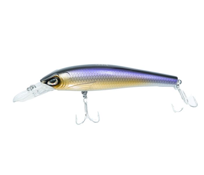 GFIN BIG BARRA