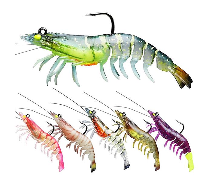JHINGA LIVE SHRIMP