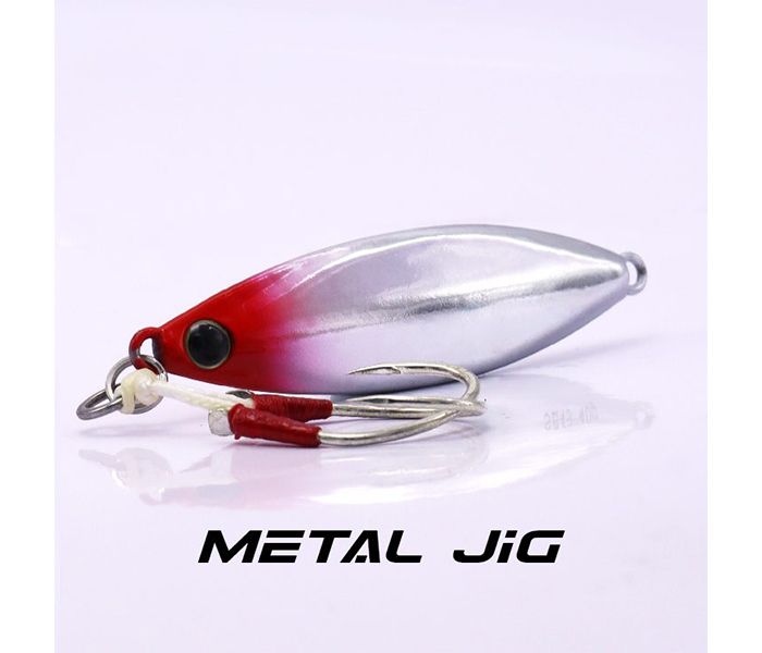EUPRO SURE BAITS JIG 60G-  SB59