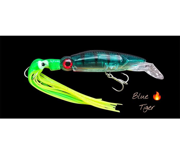 HAWAS THUNDER SQUID